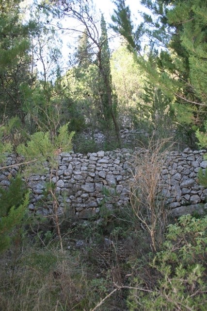 Abandoned terrace walls